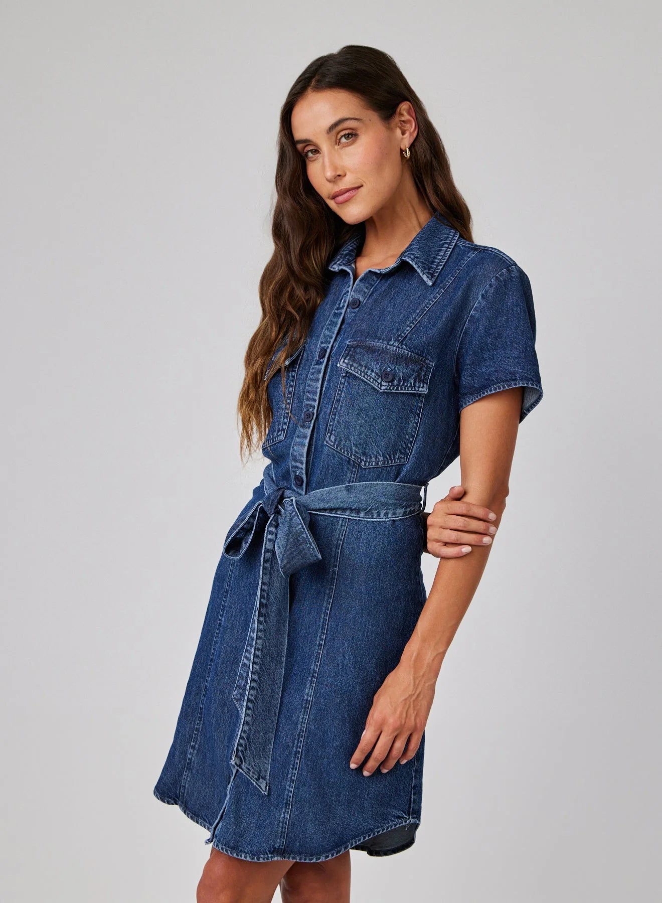 Short Sleeve Seamed Shirt Dress