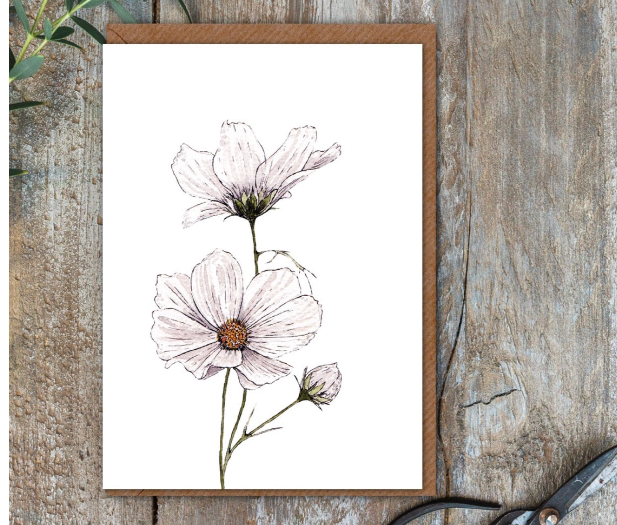 Floral Cards