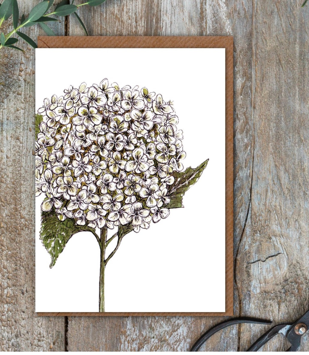 Floral Cards