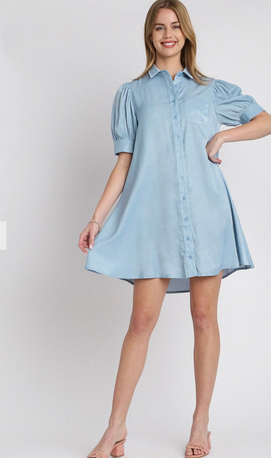 Tencel Collared Button Down Shirt Dress