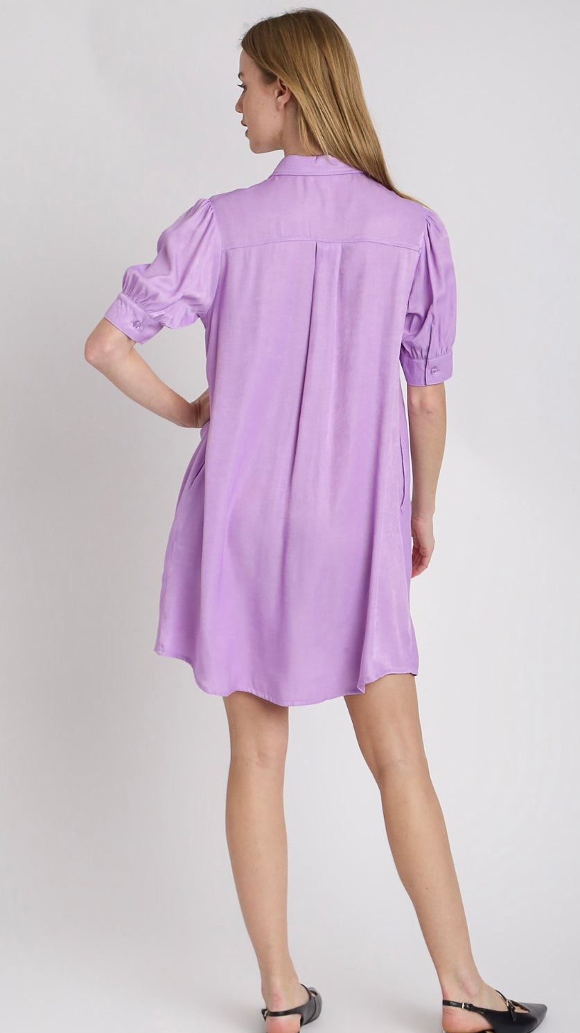 Tencel Collared Button Down Shirt Dress