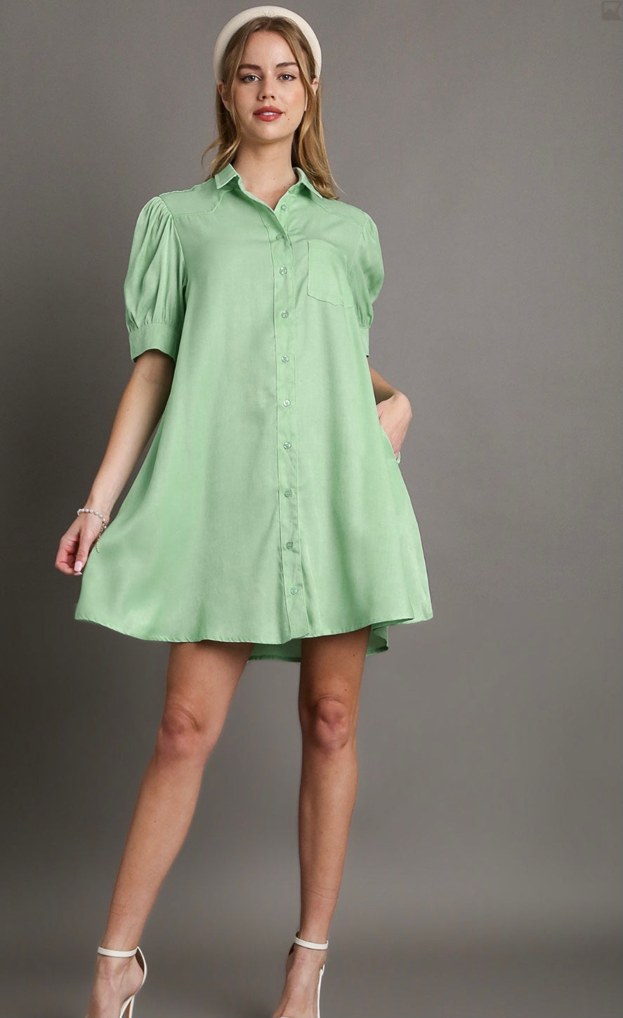 Tencel Collared Button Down Shirt Dress