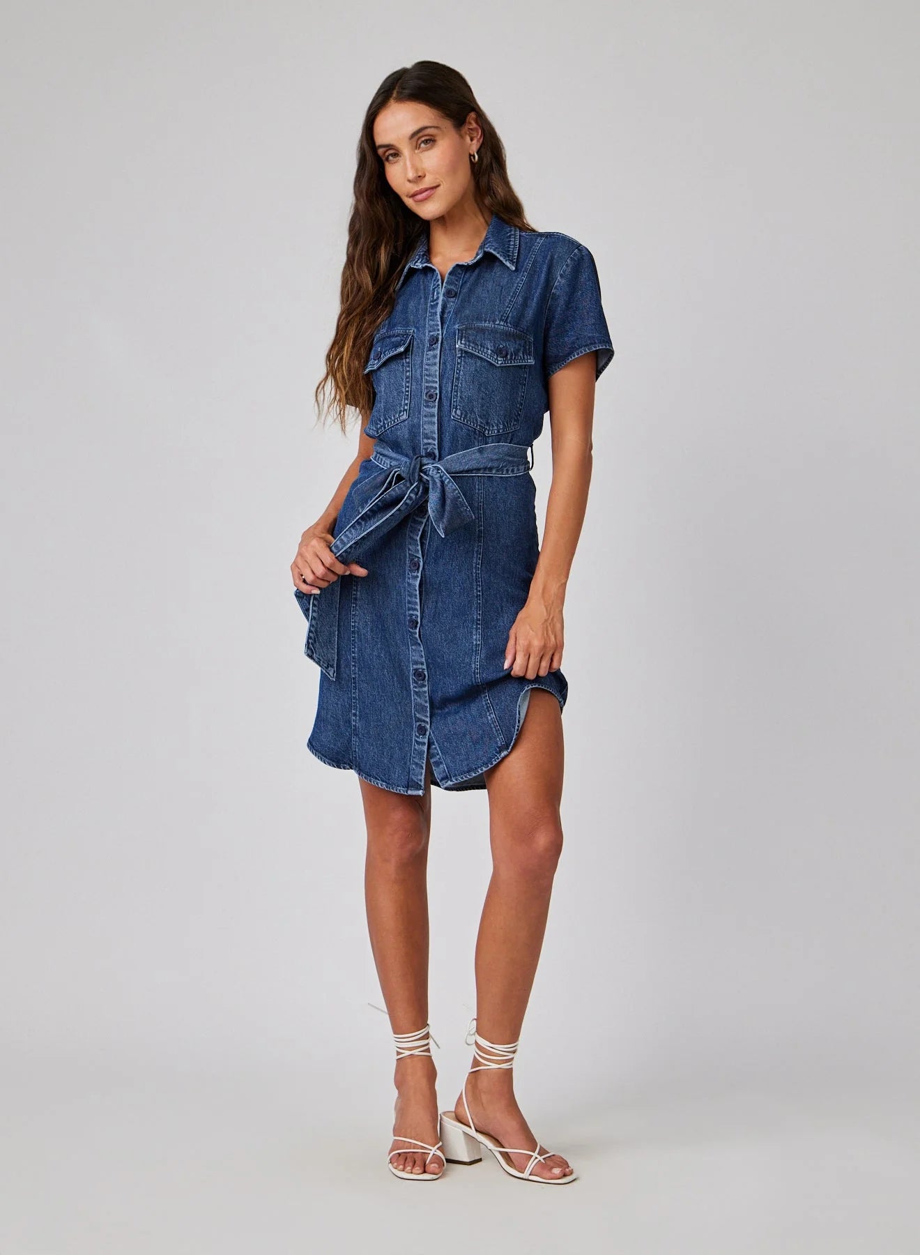 Short Sleeve Seamed Shirt Dress