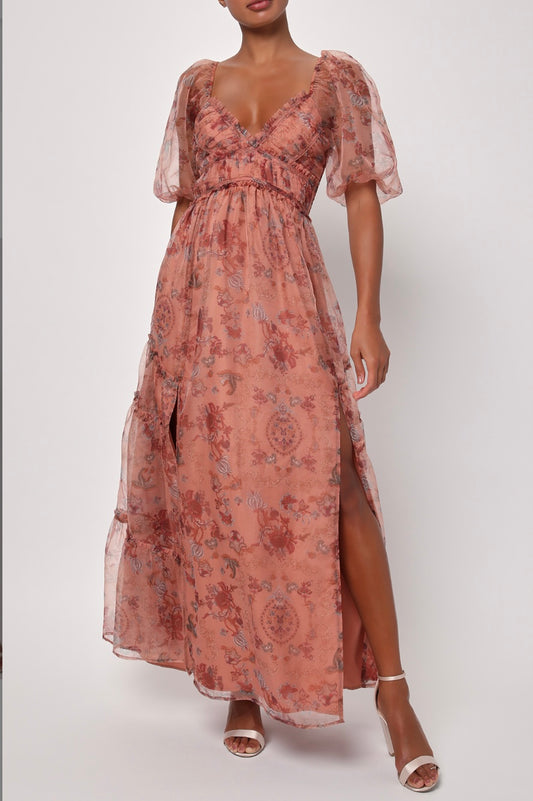 Daphne Organza Maxi Dress
